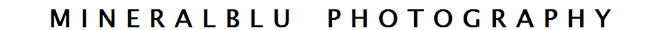 Masthead header